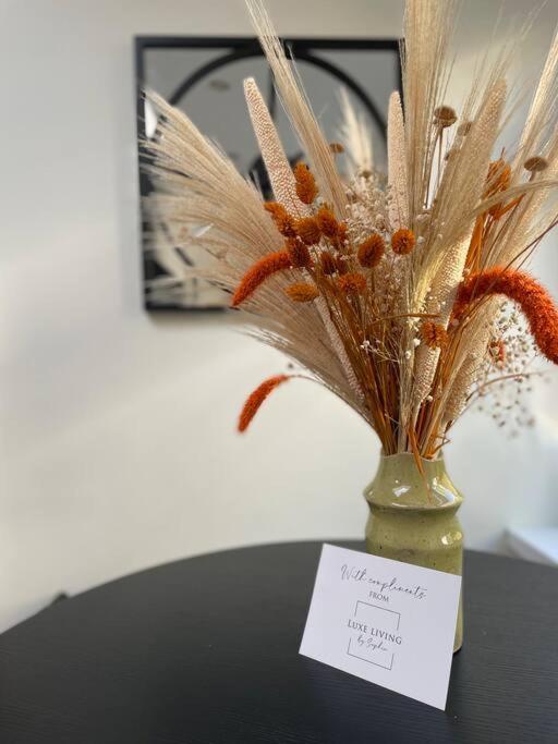 New Luxury For 2024 - Central Plymouth House - Sleeps 10 - Access To Plymouth Town - Close To The Barbican - Pets Welcome - Parking Available - By Luxe Living By Sophia Exteriör bild