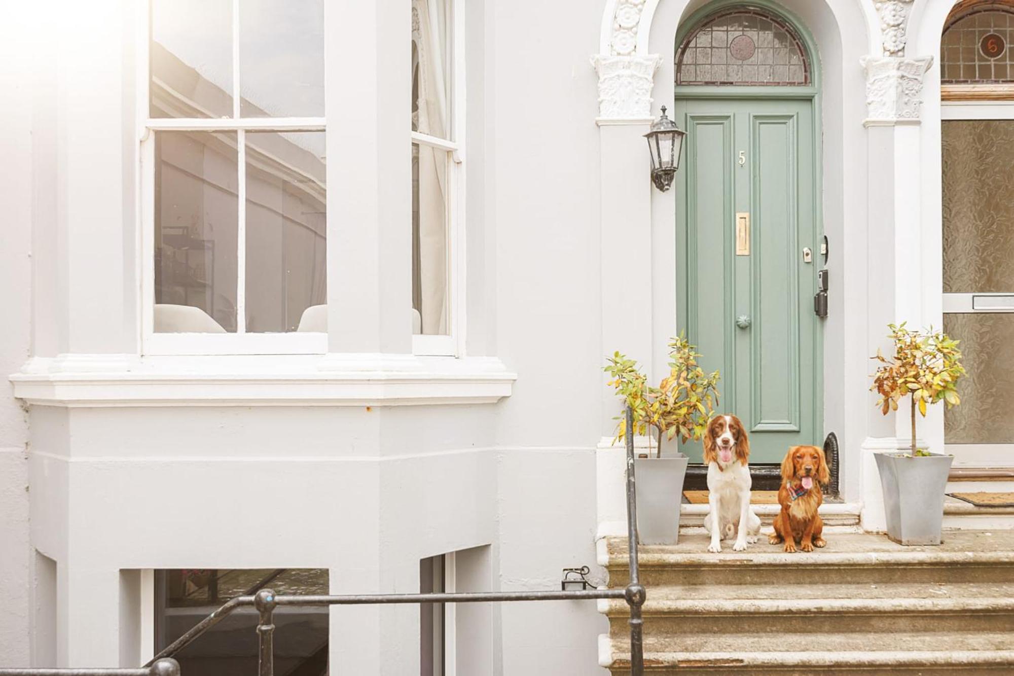 New Luxury For 2024 - Central Plymouth House - Sleeps 10 - Access To Plymouth Town - Close To The Barbican - Pets Welcome - Parking Available - By Luxe Living By Sophia Exteriör bild
