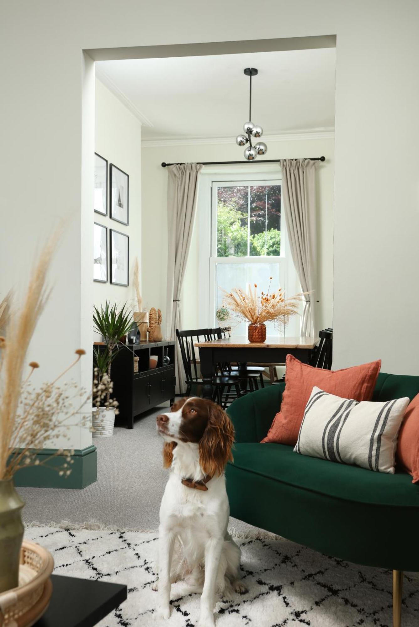 New Luxury For 2024 - Central Plymouth House - Sleeps 10 - Access To Plymouth Town - Close To The Barbican - Pets Welcome - Parking Available - By Luxe Living By Sophia Exteriör bild